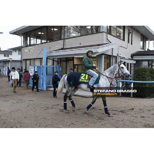 Morning trackworks at Fuchu racecourse - Voila Ici, Mirco Demuro, Vittorio Caruso and Sergio Urru Tokyo, 26th nov. 2010 ph. Stefano Grasso