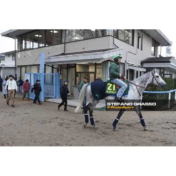 Morning trackworks at Fuchu racecourse - Voila Ici, Mirco Demuro, Vittorio Caruso and Sergio Urru Tokyo, 26th nov. 2010 ph. Stefano Grasso