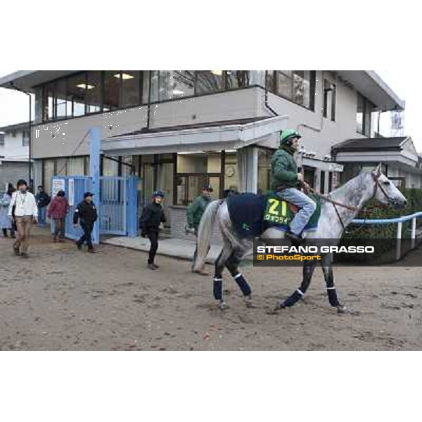 Morning trackworks at Fuchu racecourse - Voila Ici, Mirco Demuro, Vittorio Caruso and Sergio Urru Tokyo, 26th nov. 2010 ph. Stefano Grasso