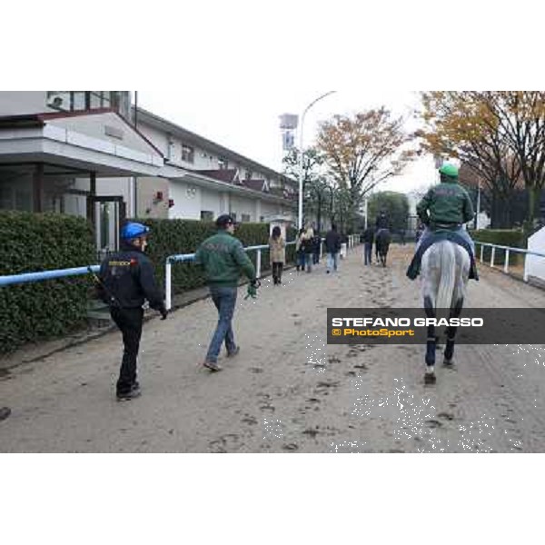 Morning trackworks at Fuchu racecourse - Voila Ici, Mirco Demuro, Sergio Urru and Luigi Rosa Tokyo, 26th nov. 2010 ph. Stefano Grasso