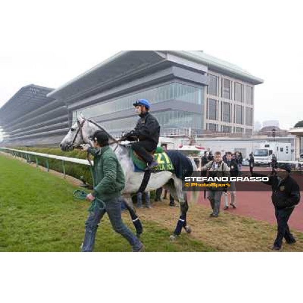Morning trackworks at Fuchu racecourse - Voila Ici, Mirco Demuro, Vittorio Caruso and Luigi Rosa Tokyo, 26th nov. 2010 ph. Stefano Grasso