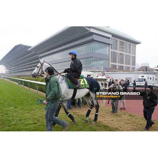 Morning trackworks at Fuchu racecourse - Voila Ici, Mirco Demuro, Vittorio Caruso and Luigi Rosa Tokyo, 26th nov. 2010 ph. Stefano Grasso