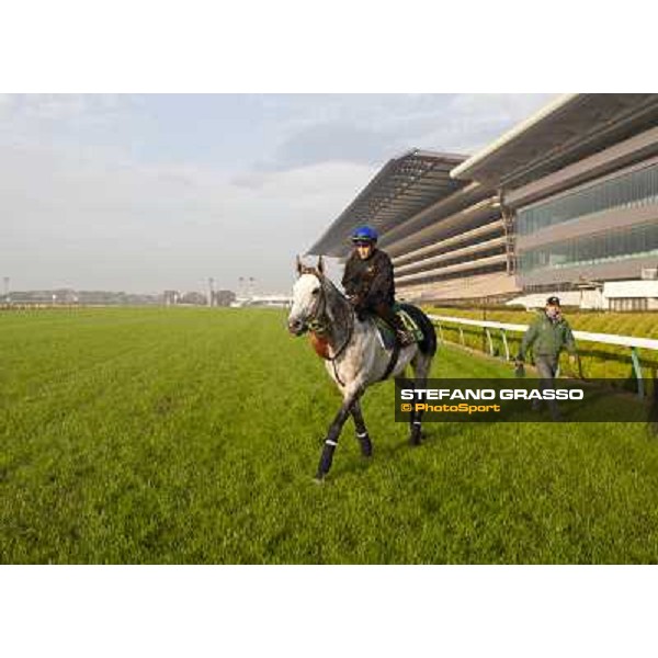 Morning trackworks at Fuchu racecourse - Voila Ici, Mirco Demuro, and Luigi Rosa Tokyo, 26th nov. 2010 ph. Stefano Grasso