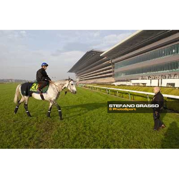 Morning trackworks at Fuchu racecourse - Voila Ici, Mirco Demuro and Vittorio Caruso Tokyo, 26th nov. 2010 ph. Stefano Grasso
