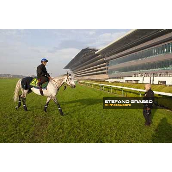 Morning trackworks at Fuchu racecourse - Voila Ici, Mirco Demuro and Vittorio Caruso Tokyo, 26th nov. 2010 ph. Stefano Grasso