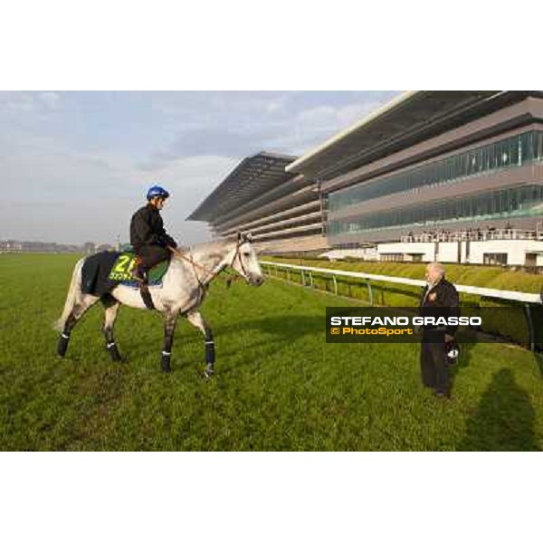 Morning trackworks at Fuchu racecourse - Voila Ici, Mirco Demuro and Vittorio Caruso Tokyo, 26th nov. 2010 ph. Stefano Grasso