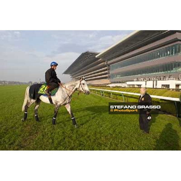 Morning trackworks at Fuchu racecourse - Voila Ici, Mirco Demuro and Vittorio Caruso Tokyo, 26th nov. 2010 ph. Stefano Grasso