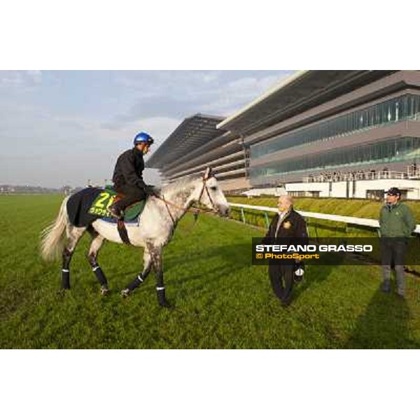 Morning trackworks at Fuchu racecourse - Voila Ici, Mirco Demuro, Vittorio Caruso and Luigi Rosa Tokyo, 26th nov. 2010 ph. Stefano Grasso