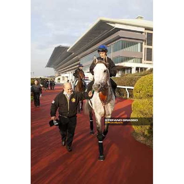 Morning trackworks at Fuchu racecourse - Voila Ici, Mirco Demuro and Vittorio Caruso Tokyo, 26th nov. 2010 ph. Stefano Grasso