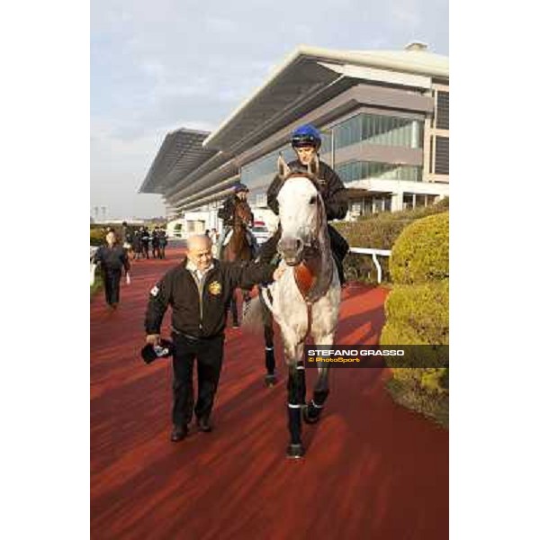 Morning trackworks at Fuchu racecourse - Voila Ici, Mirco Demuro and Vittorio Caruso Tokyo, 26th nov. 2010 ph. Stefano Grasso
