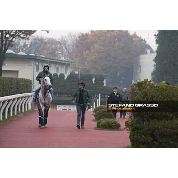 Morning trackworks at Fuchu racecourse - Voila Ici, Mirco Demuro, Vittorio Caruso and Sergio Urru Tokyo, 26th nov. 2010 ph. Stefano Grasso