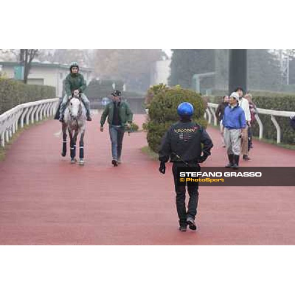 Morning trackworks at Fuchu racecourse - Voila Ici, Mirco Demuro, Luigi Rosa, Vittorio Caruso and Sergio Urru Tokyo, 26th nov. 2010 ph. Stefano Grasso