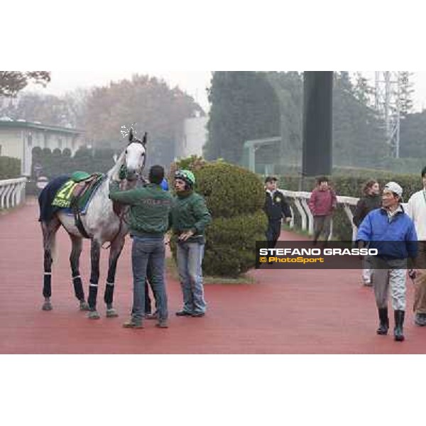 Morning trackworks at Fuchu racecourse - Voila Ici, Mirco Demuro, Vittorio Caruso and Sergio Urru Tokyo, 26th nov. 2010 ph. Stefano Grasso