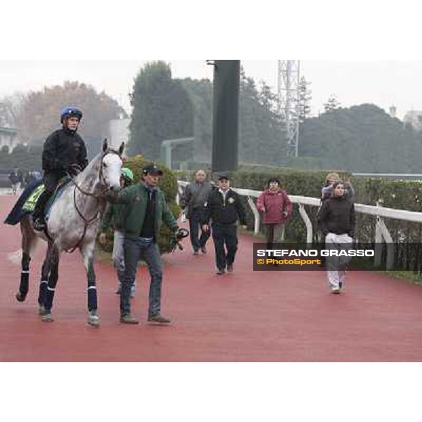 Morning trackworks at Fuchu racecourse - Voila Ici, Mirco Demuro, Vittorio Caruso and Sergio Urru Tokyo, 26th nov. 2010 ph. Stefano Grasso