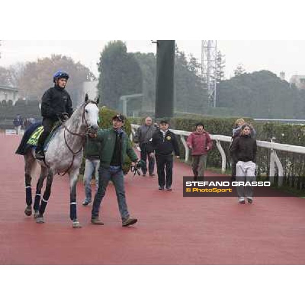 Morning trackworks at Fuchu racecourse - Voila Ici, Mirco Demuro, Vittorio Caruso and Luigi Rosa Tokyo, 26th nov. 2010 ph. Stefano Grasso