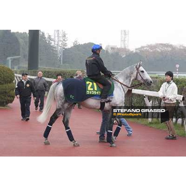 Morning trackworks at Fuchu racecourse - Voila Ici, Mirco Demuro and Vittorio Caruso Tokyo, 26th nov. 2010 ph. Stefano Grasso