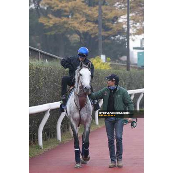 Morning trackworks at Fuchu racecourse - Voila Ici, Mirco Demuro and Luigi Rosa Tokyo, 26th nov. 2010 ph. Stefano Grasso