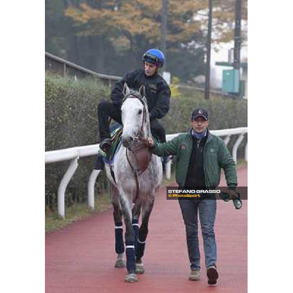Morning trackworks at Fuchu racecourse - Voila Ici, Mirco Demuro and Luigi Rosa Tokyo, 26th nov. 2010 ph. Stefano Grasso