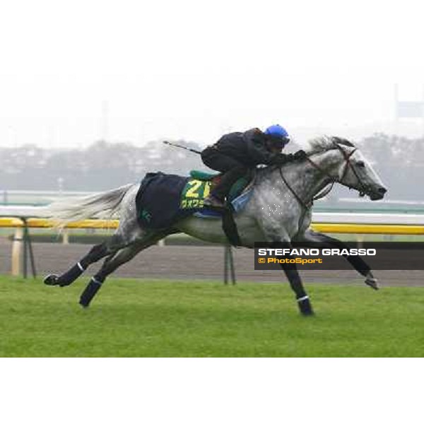 Morning trackworks at Fuchu racecourse - Voila Ici and Mirco Demuro Tokyo, 26th nov. 2010 ph. Stefano Grasso