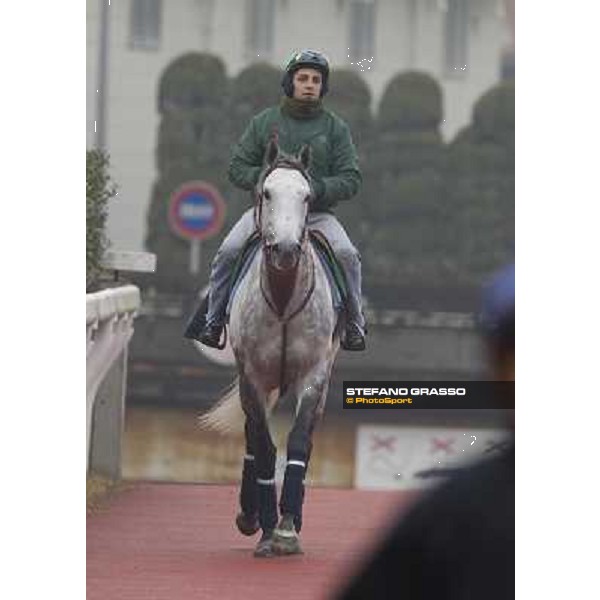 Morning trackworks at Fuchu racecourse - Sergio Urru on Voila Ici Tokyo, 26th nov. 2010 ph. Stefano Grasso