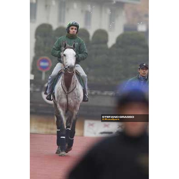 Morning trackworks at Fuchu racecourse - Sergio Urru on Voila Ici Tokyo, 26th nov. 2010 ph. Stefano Grasso