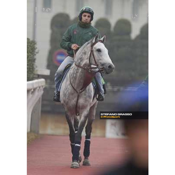 Morning trackworks at Fuchu racecourse - Sergio Urru on Voila Ici Tokyo, 26th nov. 2010 ph. Stefano Grasso