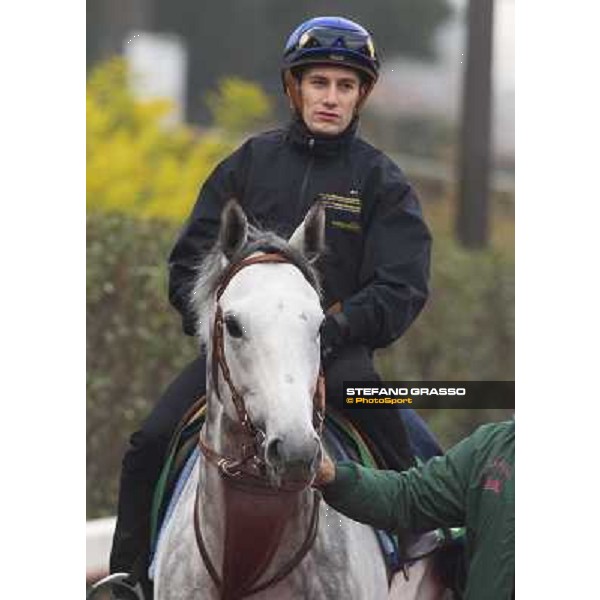 Morning trackworks at Fuchu racecourse - Mirco Demuro and Voila Ici Tokyo, 26th nov. 2010 ph. Stefano Grasso