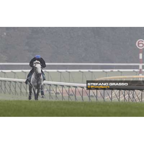 Morning trackworks at Fuchu racecourse - Voila Ici and Mirco Demuro Tokyo, 26th nov. 2010 ph. Stefano Grasso