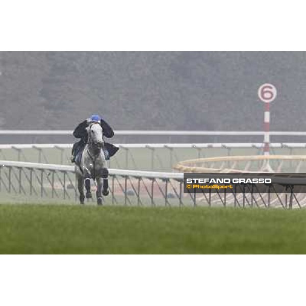 Morning trackworks at Fuchu racecourse - Voila Ici and Mirco Demuro Tokyo, 26th nov. 2010 ph. Stefano Grasso