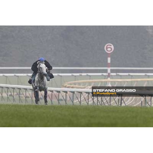 Morning trackworks at Fuchu racecourse - Voila Ici and Mirco Demuro Tokyo, 26th nov. 2010 ph. Stefano Grasso