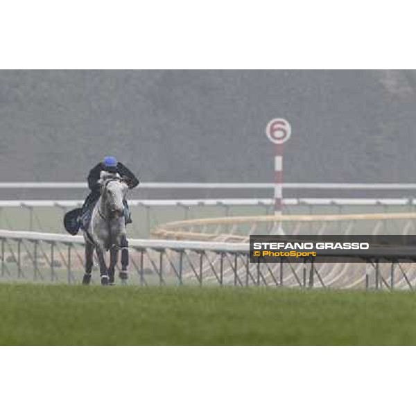 Morning trackworks at Fuchu racecourse - Voila Ici and Mirco Demuro Tokyo, 26th nov. 2010 ph. Stefano Grasso