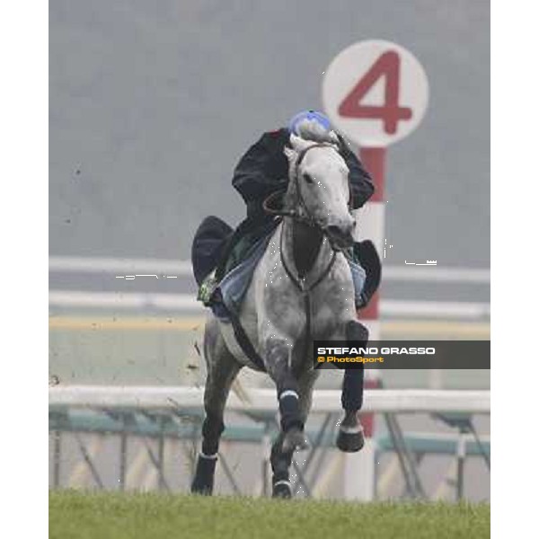 Morning trackworks at Fuchu racecourse - Voila Ici and Mirco Demuro Tokyo, 26th nov. 2010 ph. Stefano Grasso