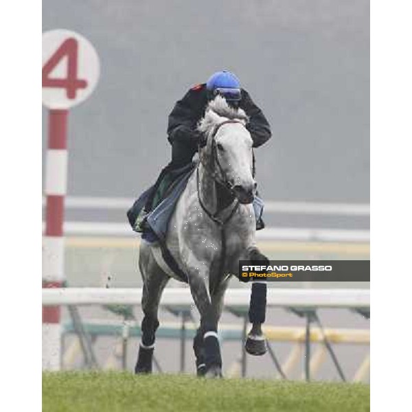 Morning trackworks at Fuchu racecourse - Voila Ici and Mirco Demuro Tokyo, 26th nov. 2010 ph. Stefano Grasso