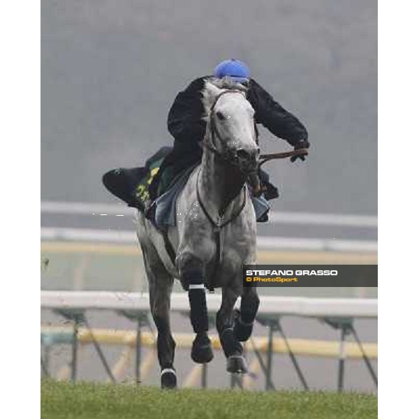 Morning trackworks at Fuchu racecourse - Voila Ici and Mirco Demuro Tokyo, 26th nov. 2010 ph. Stefano Grasso