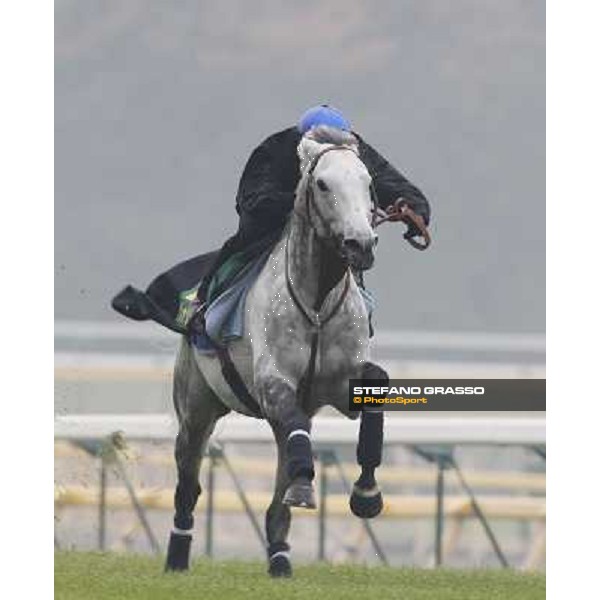 Morning trackworks at Fuchu racecourse - Voila Ici and Mirco Demuro Tokyo, 26th nov. 2010 ph. Stefano Grasso