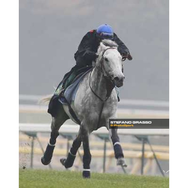 Morning trackworks at Fuchu racecourse - Voila Ici and Mirco Demuro Tokyo, 26th nov. 2010 ph. Stefano Grasso