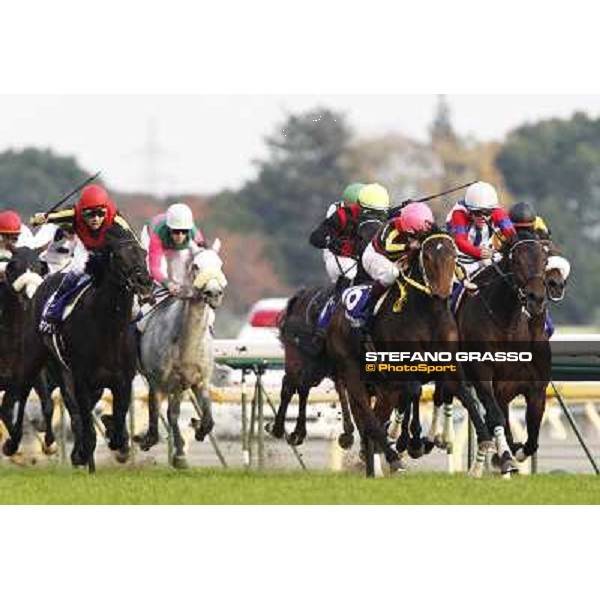 Yutaka Take on Rose Kingdom wins the Japan Cup after Christophe Soumillon on Buena Vista was relegated Tokyo- Fuchu racecourse, 28th nov. 2010 ph. Stefano Grasso