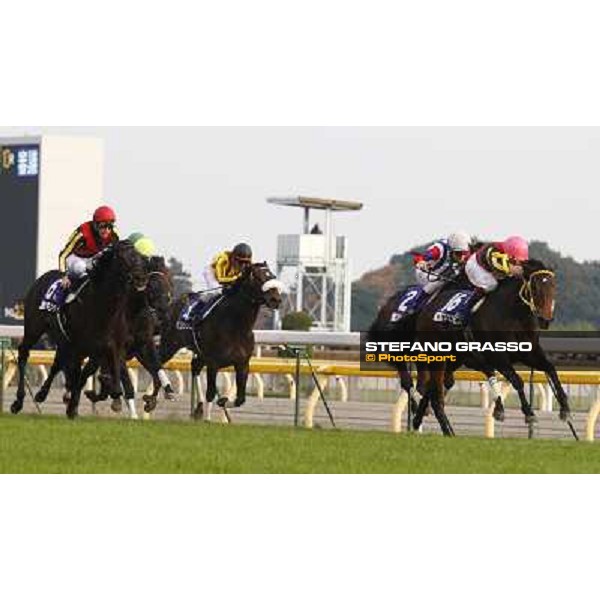Yutaka Take on Rose Kingdom wins the Japan Cup after Christophe Soumillon on Buena Vista was relegated Tokyo- Fuchu racecourse, 28th nov. 2010 ph. Stefano Grasso