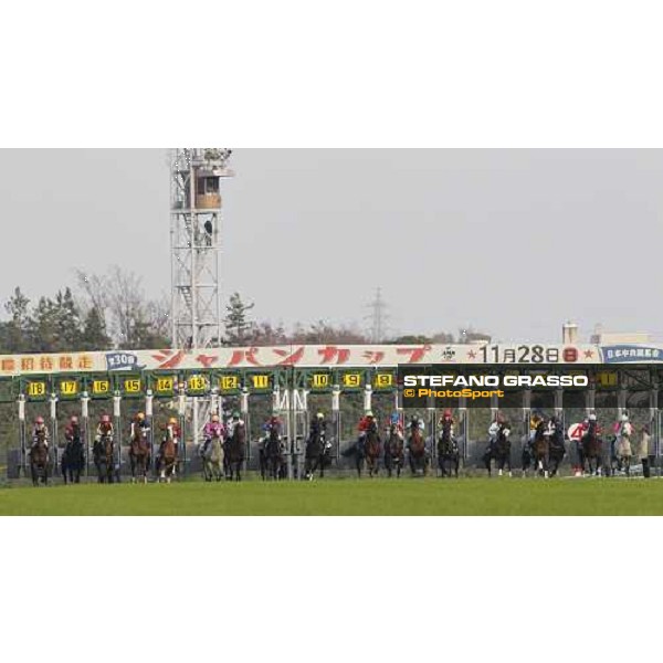 The start of the Japan Cup Tokyo- Fuchu racecourse, 28th nov. 2010 ph. Stefano Grasso