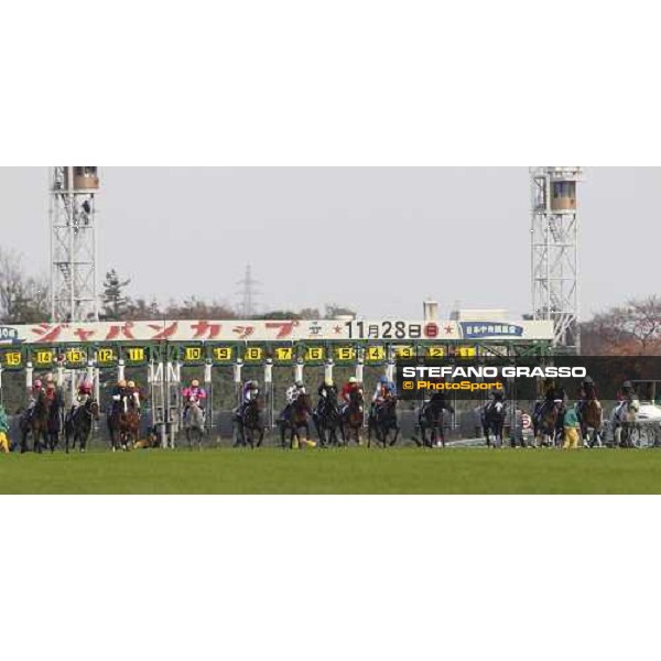The start of the Japan Cup Tokyo- Fuchu racecourse, 28th nov. 2010 ph. Stefano Grasso