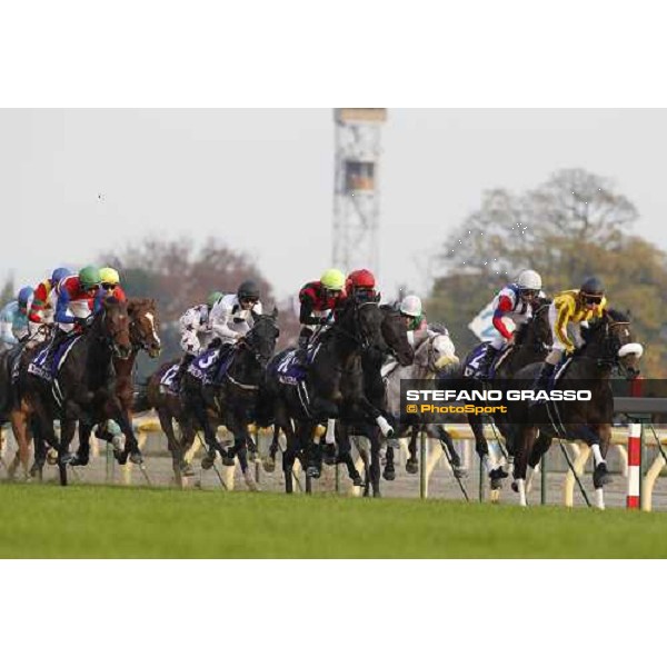 Racing during the Japan Cup Tokyo- Fuchu racecourse, 28th nov. 2010 ph. Stefano Grasso