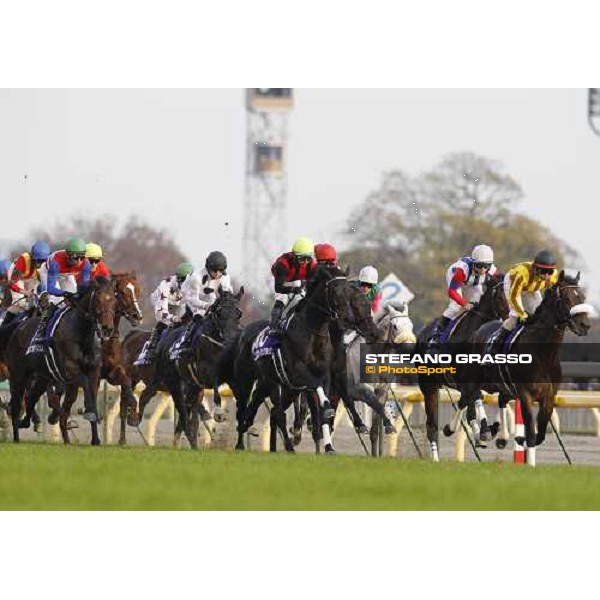 Racing during the Japan Cup Tokyo- Fuchu racecourse, 28th nov. 2010 ph. Stefano Grasso
