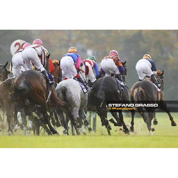 Racing during the Japan Cup Tokyo- Fuchu racecourse, 28th nov. 2010 ph. Stefano Grasso