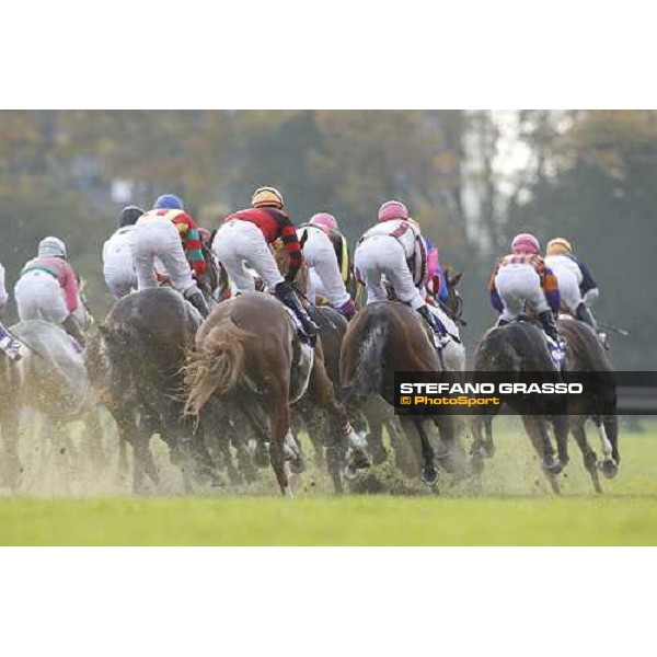 Racing during the Japan Cup Tokyo- Fuchu racecourse, 28th nov. 2010 ph. Stefano Grasso
