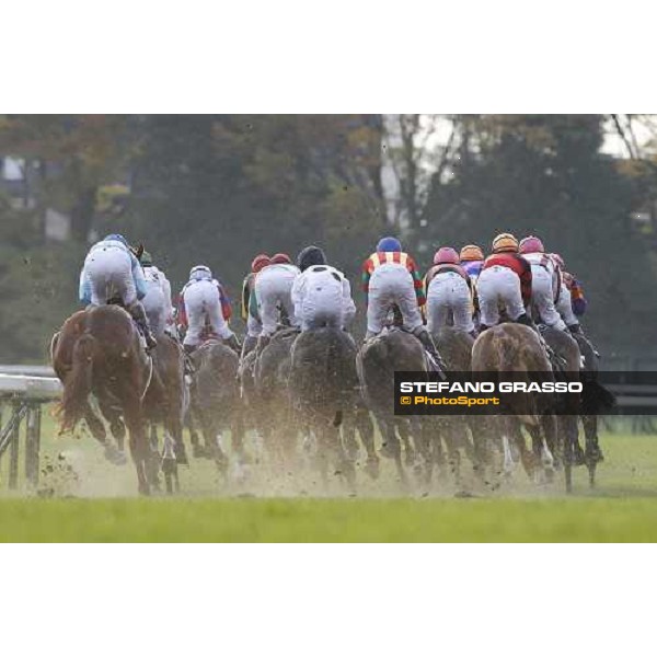 Racing during the Japan Cup Tokyo- Fuchu racecourse, 28th nov. 2010 ph. Stefano Grasso