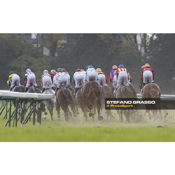Racing during the Japan Cup Tokyo- Fuchu racecourse, 28th nov. 2010 ph. Stefano Grasso