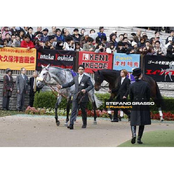 Voila Ici parades in the paddock of the Japan Cup Tokyo- Fuchu racecourse, 28th nov. 2010 ph. Stefano Grasso