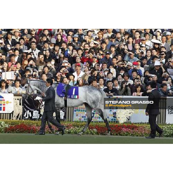 Voila Ici parades before the Japan Cup Tokyo- Fuchu racecourse, 28th nov. 2010 ph. Stefano Grasso