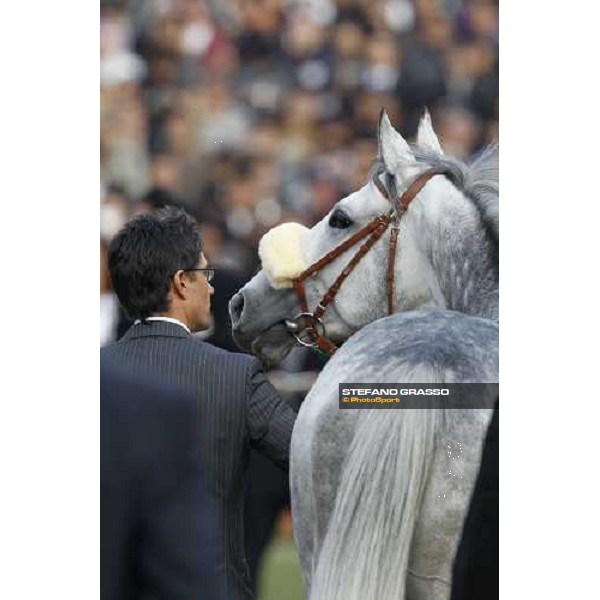 Voila Ici parades before the Japan Cup Tokyo- Fuchu racecourse, 28th nov. 2010 ph. Stefano Grasso