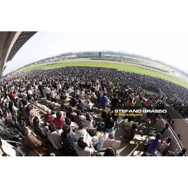 120.000 racegoers attended at the Japan Cup Tokyo- Fuchu, 28th nov. 2010 ph. Stefano Grasso